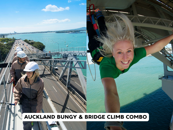 Climb and Bungy