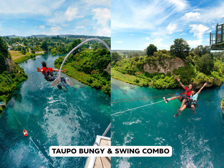 Bungy and Swing