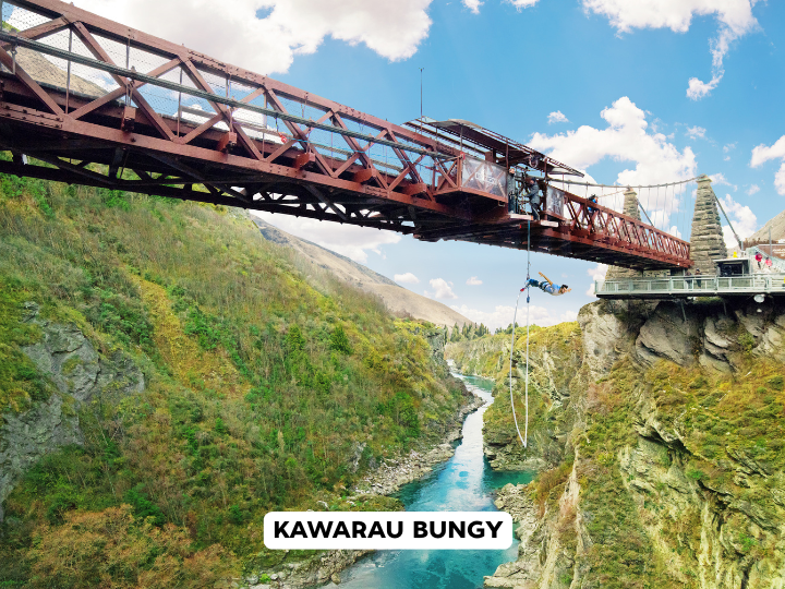 Bungy