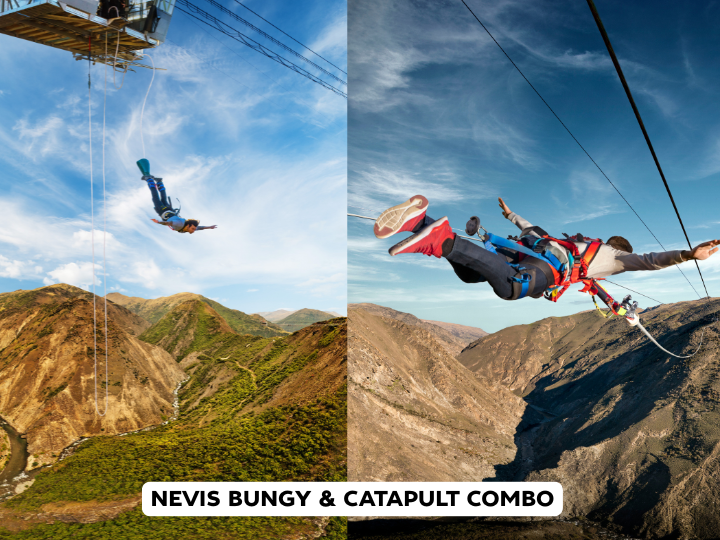 Bungy & Catapult