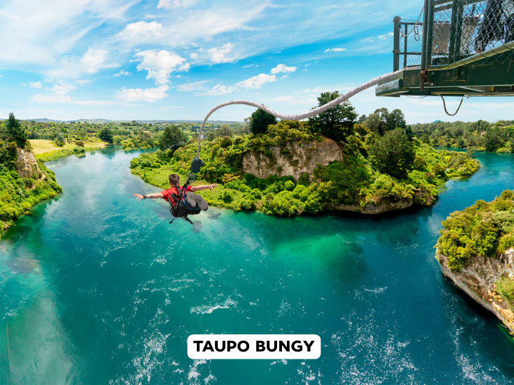 Bungy